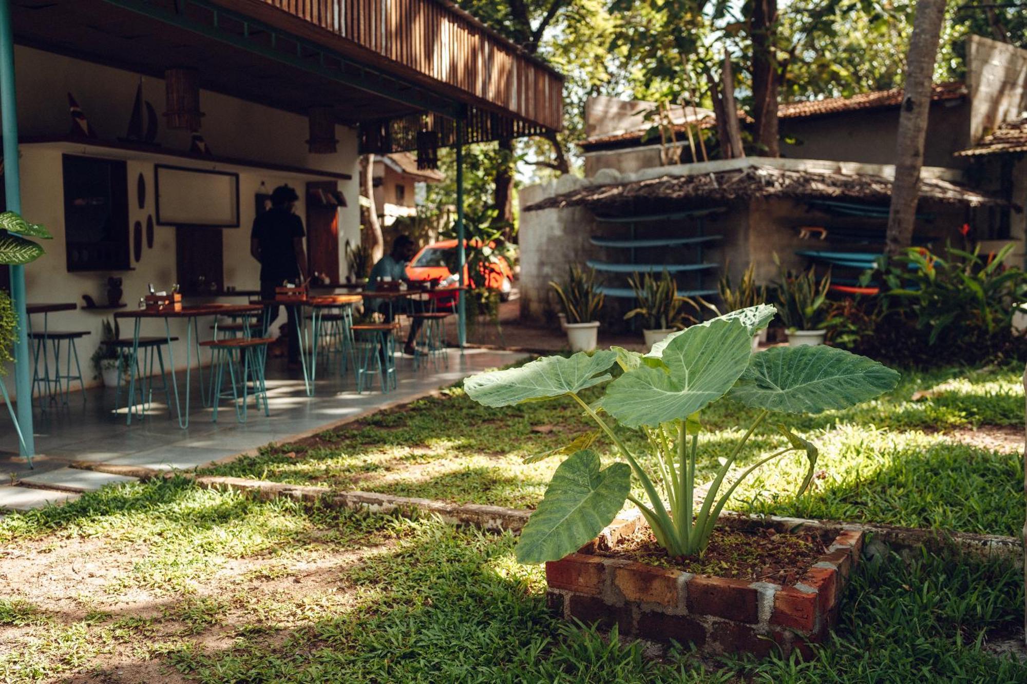 Paddlecult Surf Retreat Bed & Breakfast Varkala Exterior photo